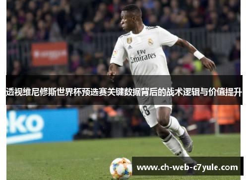 透视维尼修斯世界杯预选赛关键数据背后的战术逻辑与价值提升