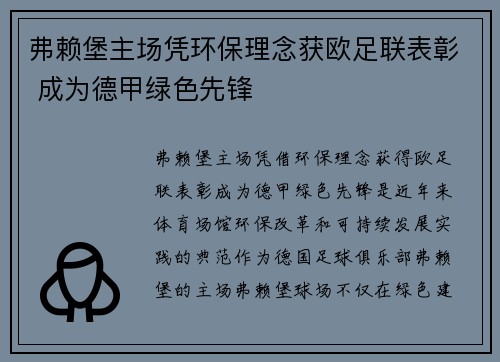弗赖堡主场凭环保理念获欧足联表彰 成为德甲绿色先锋 弗赖堡主场凭环保理念获欧足联表彰 成为德甲绿色先锋
